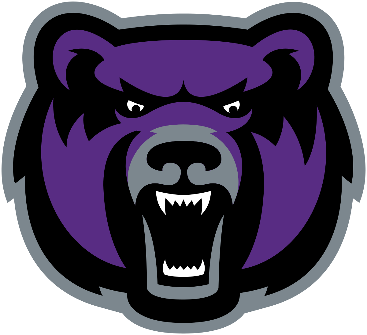 Central Arkansas logo